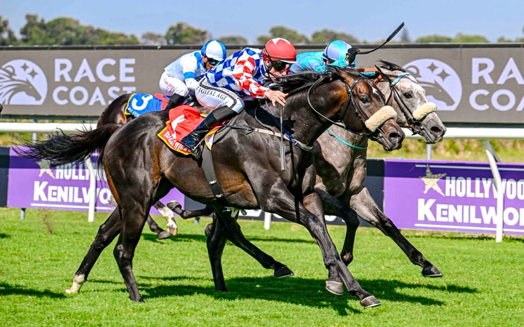 SOPHOMORE SPRINT (Listed) over 1200m at Kenilworth – won by GREEN GATEWAY