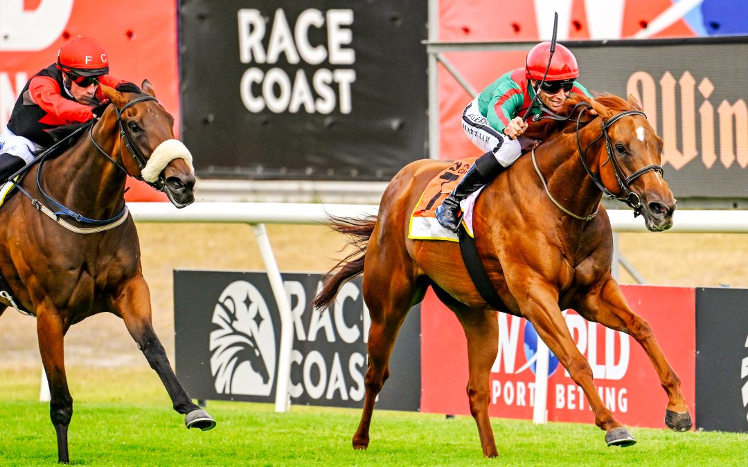 WINDHOEK OLYMPIC DUEL STAKES (Listed) over 1200m at Kenilworth – won by BABELICIOUS