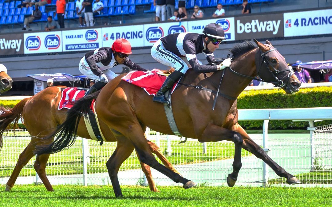 4RACING WOLF POWER 1600 (Listed) over 1600m at Turffontein – won by PRESSONREGARDLESS