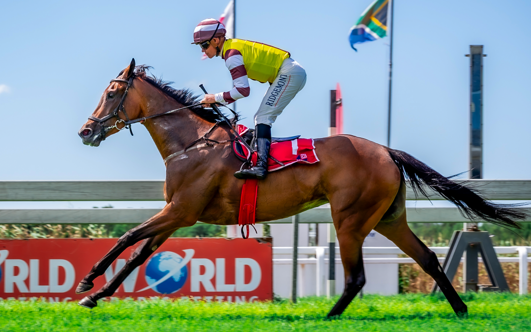 BREEDERS GUINEAS (Listed) over 1600m at Fairview – won by ANOTHERDANCEFORME