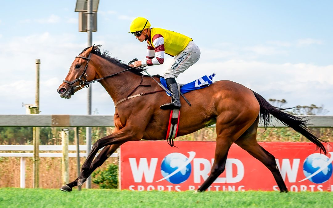 BRYANSTON AUCTIONEERS EAST CAPE GUINEAS (Listed) over 1600m at Fairview – won by ANOTHERDANCEFORME