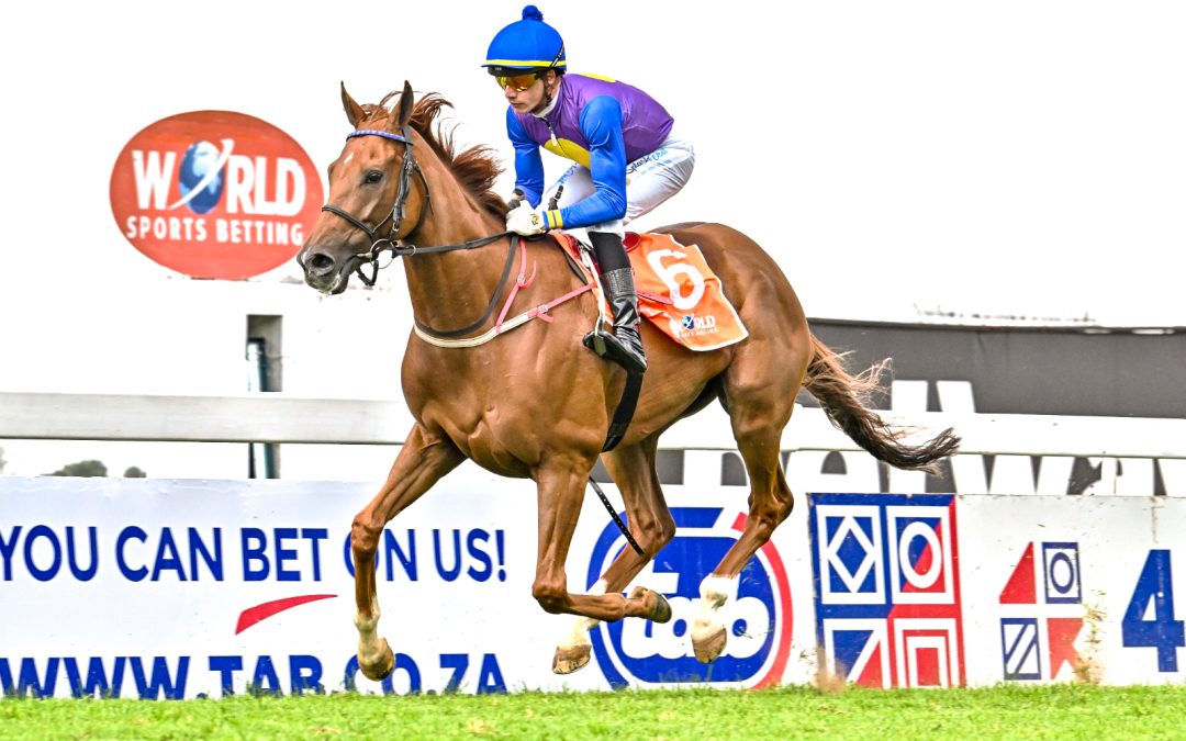 WSB AQUANAUT HANDICAP (Listed) over 2400m at Turffontein – won by DAIMYO