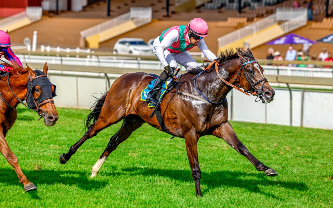 KINGS CUP (Listed) over 1600m at Scottsville – won by OKAVANGO