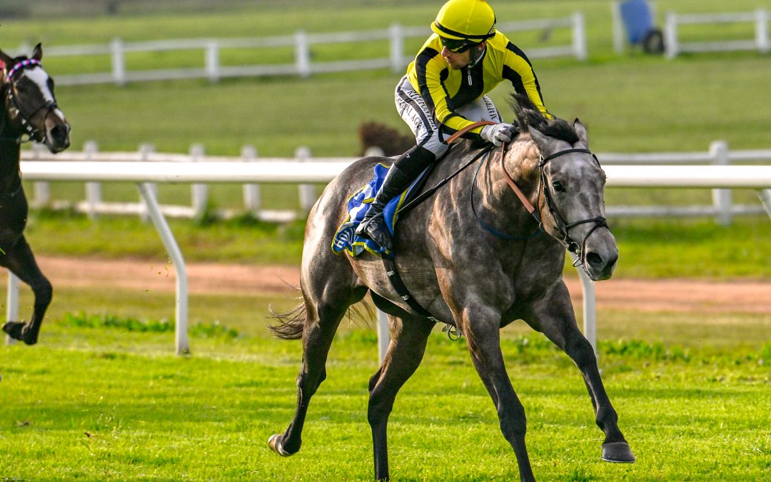 LANGERMAN (Grade 3) over 1500m at Durbanville – won by AQUAE CALIDAE