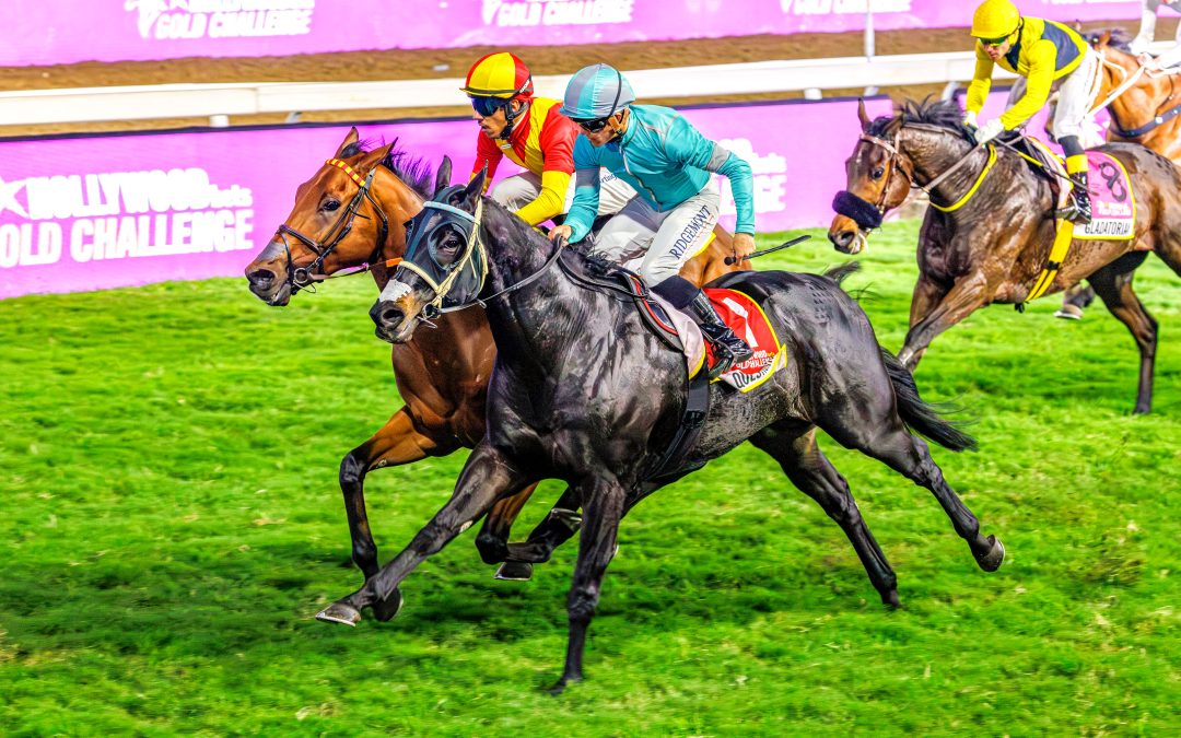 Hollywoodbets GOLD CHALLENGE (Grade 1) over 1600m at Greyville – won by QUESTIONING