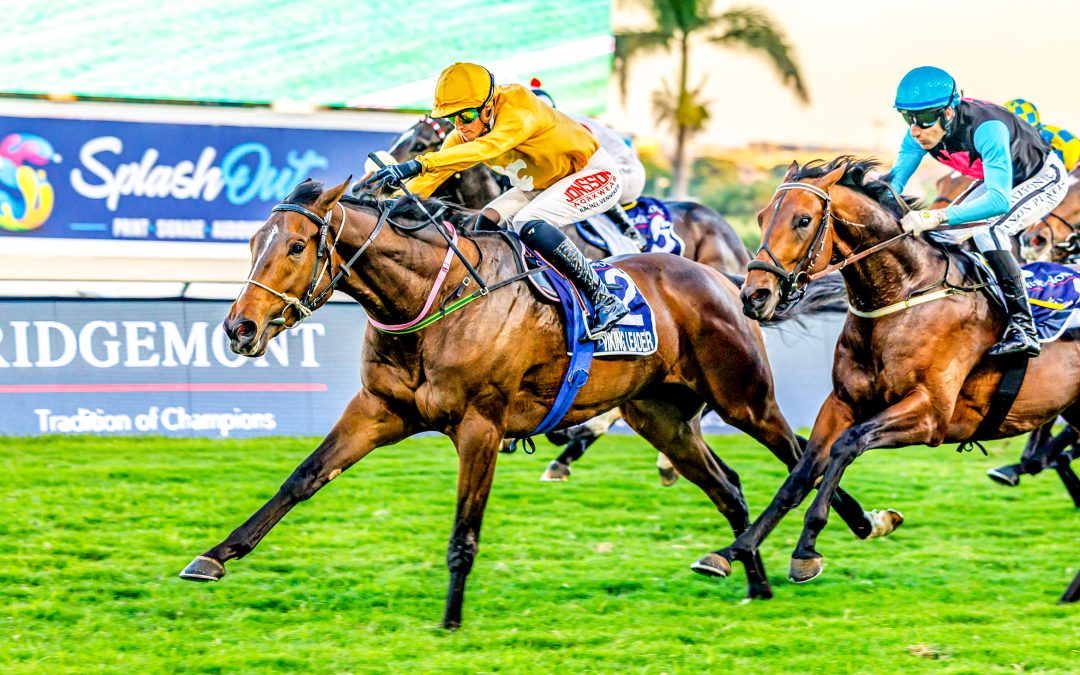 RIDGEMONT GATECRASHER STAKES (Listed) over 1400m at Greyville – won by VIKING LEADER