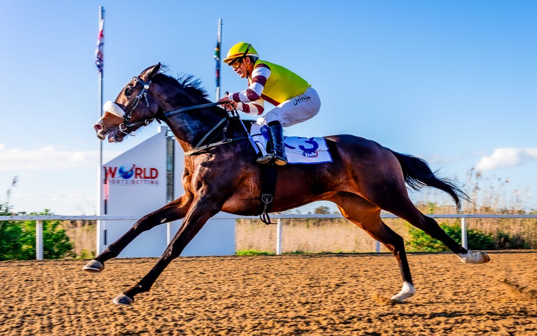 TAB CASINO CHAMPION JUVENILE CUP (Listed) over 1400m at Fairview – won by GIMMETHATWORLDCUP