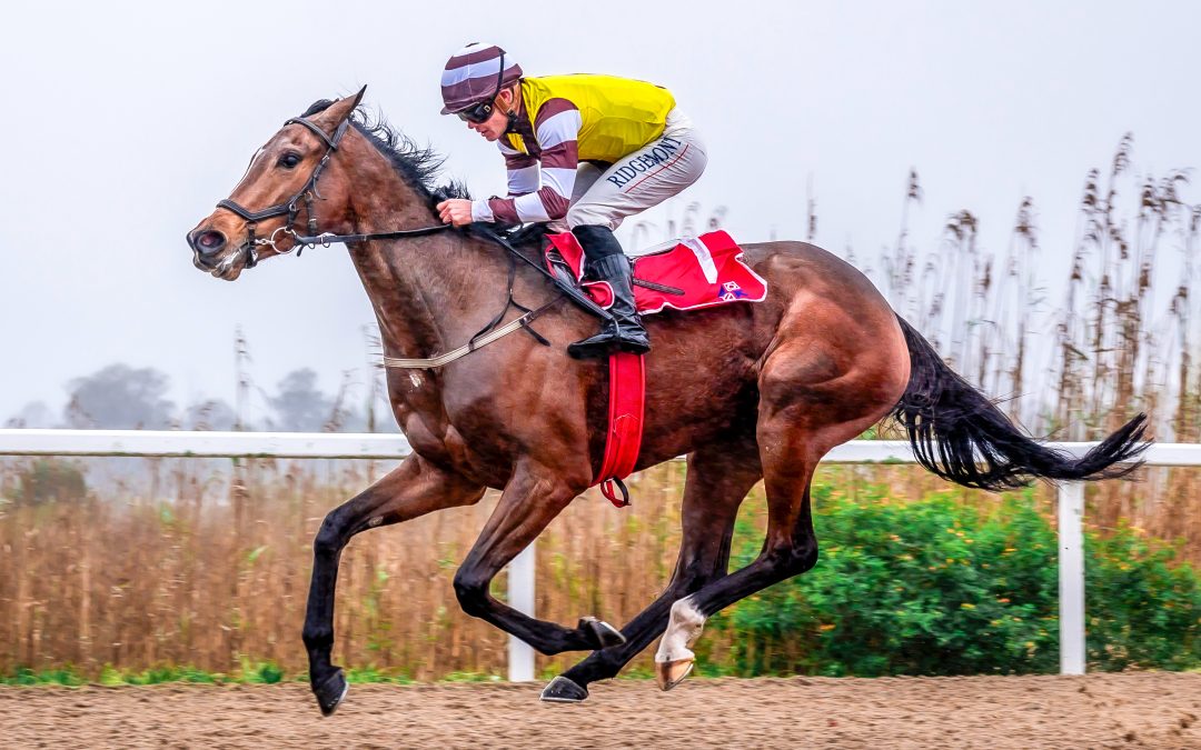 EAST CAPE PADDOCK STAKES (Listed) over 1600m at Fairview – won by ANOTHERDANCEFORME