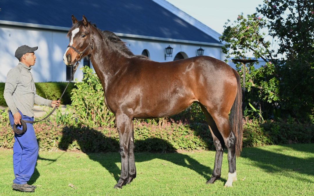 CALIFORNIA
