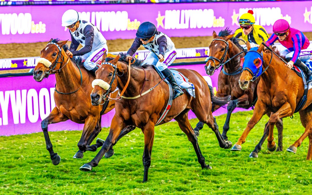 Hollywoodbets DURBAN JULY (Grade 1) over 2200m at Greyville – won by NOTE TO SELF