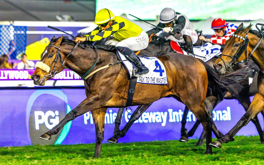 PREMIER GATEWAY INTERNATIONAL HANDICAP (Listed) over 1600m at Greyville – won by TALK TO THE MASTER