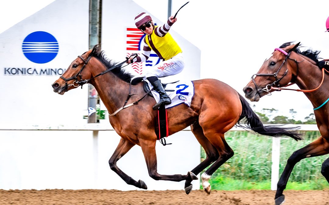 TAB CASINO ALGOA CUP (Listed) over 2000m at Fairview – won by ANOTHERDANCEFORME
